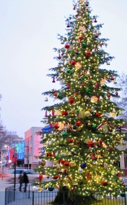 Kay District Christmas Tree